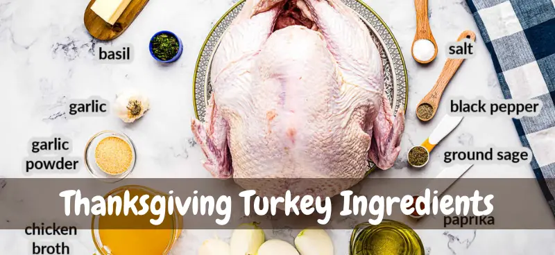turkey recipes for thanksgiving