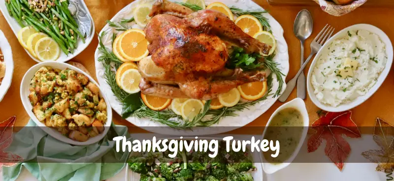 Turkey on Thanksgiving