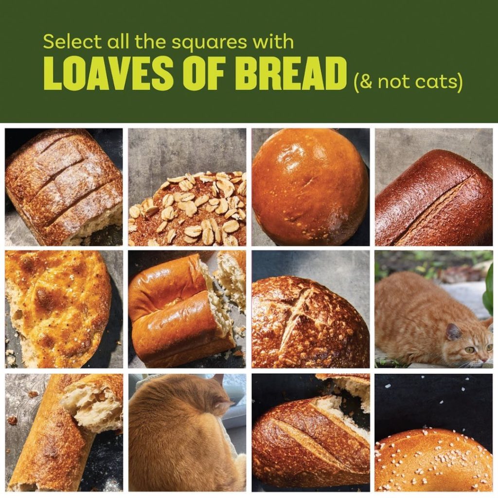 panera bread breads menu with prices